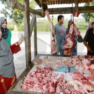 Hutan Kampung Tumpuan Daging Lembu Ramadan!