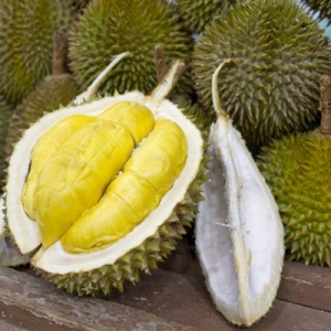 Tahu Tak, Macam Mana Durian Dihasilkan atau Membiak?