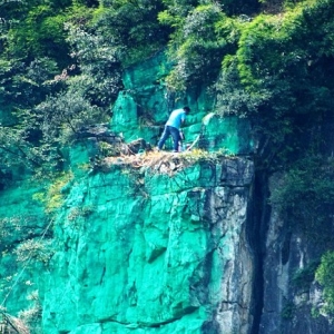 Cat Gunung Warna Hijau Elak Nasib Malang - Feng Shui China