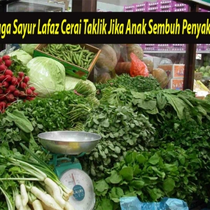 Peniaga Sayur Lafaz Cerai Taklik Jika Anak Sembuh Penyakit