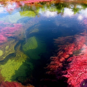 Wow! Sungai Tercantik Dunia Boleh Bertukar 5 Warna