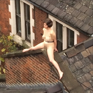 Wanita Berbogel Atas Bumbung Kerana Seni