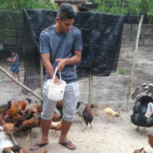 Berkerjaya! Hazli Tetap Ceburi Bidang Penternakan Ayam Kampung
