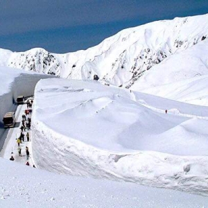 Tateyama Kurobe Alpine Route, Laluan Bas Dikelilingi Salji