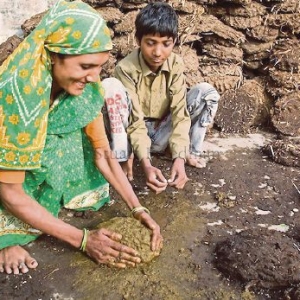 Kek Najis Lembu Kini Produk Terlaris Di India