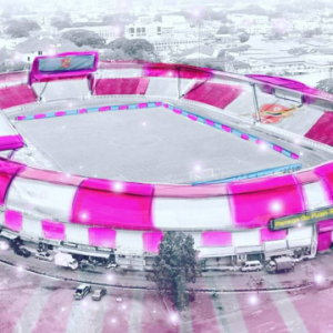TRW Setuju Stadium Cat Warna 'Pink'