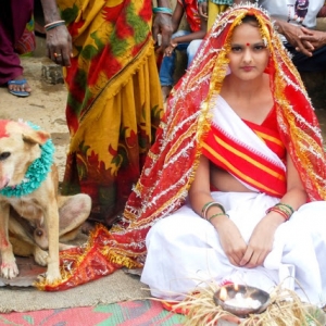 Gadis 18 Tahun Kahwin Dengan Anjing Elak Sumpahan