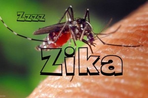 Virus Zika Penyerang Janin, Ibu Hamil Perlu Waspada