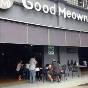 Good Meowning, Kafe Untuk Manusia Dan Kucing