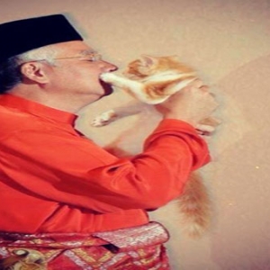 Dr Fathul Kata Urusan Jual Beli Kucing Diharamkan Islam