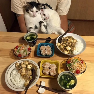 Layan Gelagat Melentok Pasangan Meow Ini Ketika Kacau Tuannya Makan