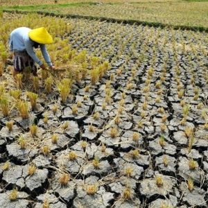 6 Lokasi Capai Paras Ambang Gelombang Haba