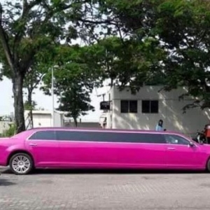 'Limo Pink Bukan Saya Punya' - Vida