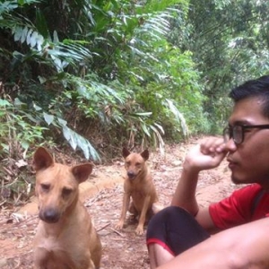 Kisah 2 Ekor Anjing Yang Menjaga Pendaki Wajar Jadi Renungan