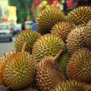 Tak Tahan Bau Durian? Cuba Petua Mudah Ini