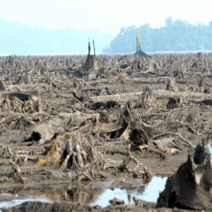 Tasik Di Bukit Merah Laketown Resort 'Hilang' Gara-gara El Nino