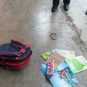 Mengejutkan! Ular Ditemui Dalam Beg Sekolah Murid