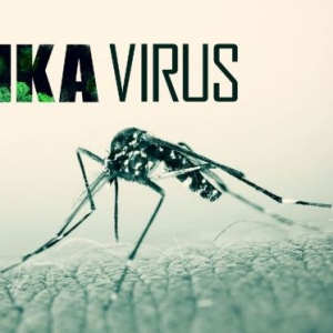 Virus Zika: Semua Pintu Masuk Negara Dikawal Ketat