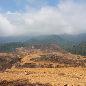 Sungai Terpanjang Di Semenanjung Kini Di Ambang Kemusnahan - Pakar