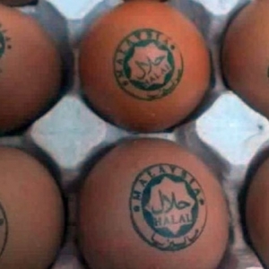 Melampau! Viral Gambar Telur Dicop Halal Dianggap Permainkan Isu Agama