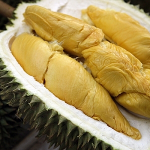 Dah Masuk Musim Raja Buah Kan? Jom Kenali 10 Jenis Durian Ini