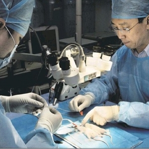 Doktor Pembedahan Di China Rancang Pemindahan Kepala Dua Manusia