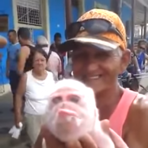 Orang Cuba Digemparkan Anak Babi  Berwajah Seakan Monyet