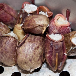 Keistimewaan Lemang Periuk Kera Tiada Tandingan, Wajib Cuba Rasa!