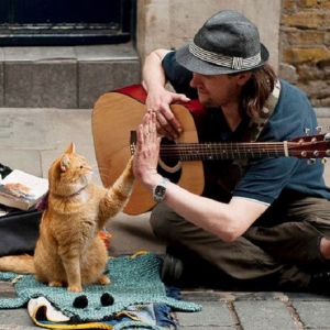 Kisah Bagaimana 'Bob' Kucing Jalanan Ini Ubah Hidup Pemuzik & Penagih Dadah