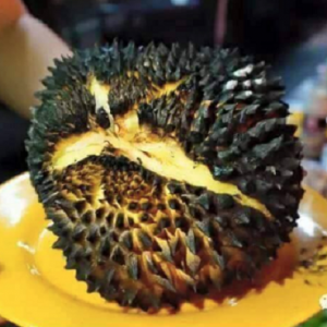 Evolusi Baharu! Trend Durian Bakar Jadi Viral