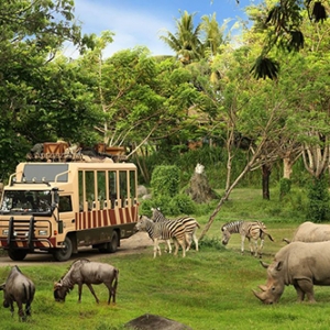 Bali Safari & Marine Park, Taman Safari Ala Afrika Selatan