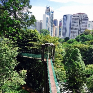 Taman Eko Rimba, Hutan Semula Jadi Di Tengah Kota Raya Kuala Lumpur