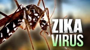 Kes Pertama Di Malaysia : Wanita Di Klang Sah Dijangkiti Virus Zika