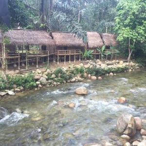 Syoknya! Chalet Ala Rumah Orang Asli Di Sungai Bil Cool Spring