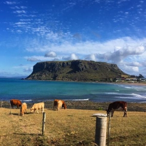 Jika Ke Tasmania Jangan Lupa Ke 7 Tempat Ini