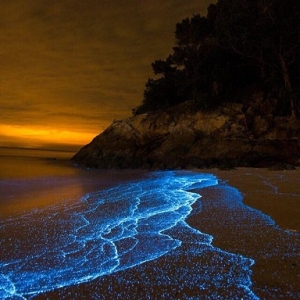 Keindahan 'Blue Tears' Di Pulau Sembilan Mampu Buat Anda Menangis Kegembiraan