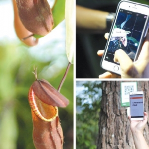 Jom! Masuk Hutan, Boleh Berfesyen Dan Wifi Takkan Putus