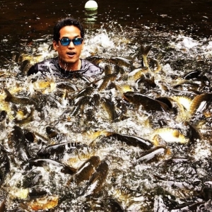 Bermandi Manda Bersama Ikan, Jom Ke Santuari Kelah Sungai Petang