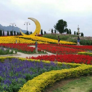 Taman Bunga Terbesar Di Thailand, Rambang Mata Pilih Sudut Swafoto!