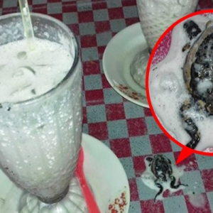 Viral Minuman 'Coconut Shake Oreo' Berisi Katak, Pemilik Kedai Menafikan