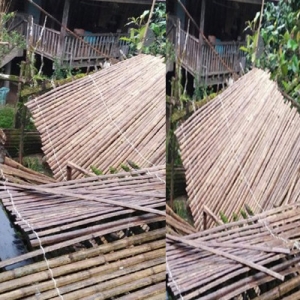 Anjung Rumah Panjang Runtuh, 20 Pelancong Cedera