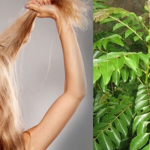 Rambut Rosak? Tak Perlu Belanja Banyak, Rawat Dengan Daun Kari Sahaja!