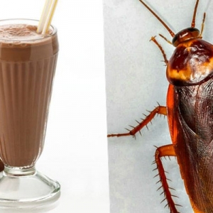 Menjijikkan, Minuman Coklat Berperisa 'Lipas' Di Restoran Terkemuka Seremban 2