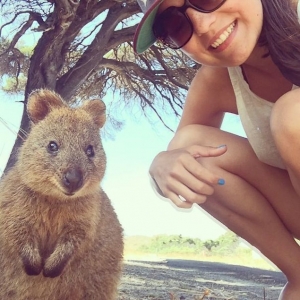 Jom Swafoto Dengan Si Comel Quokka Jika Berkunjung Ke Perth, Australia!