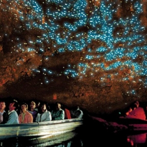 Gua Unik, Witomo Cave New Zealand Ini Dipenuhi Kerlipan Cacing Bercahaya