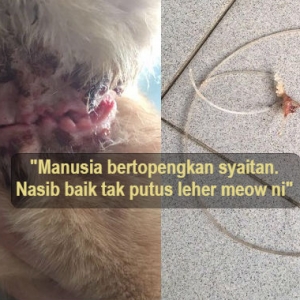 Kejam! Leher Kucing Koyak Dijerut Tali Tangsi