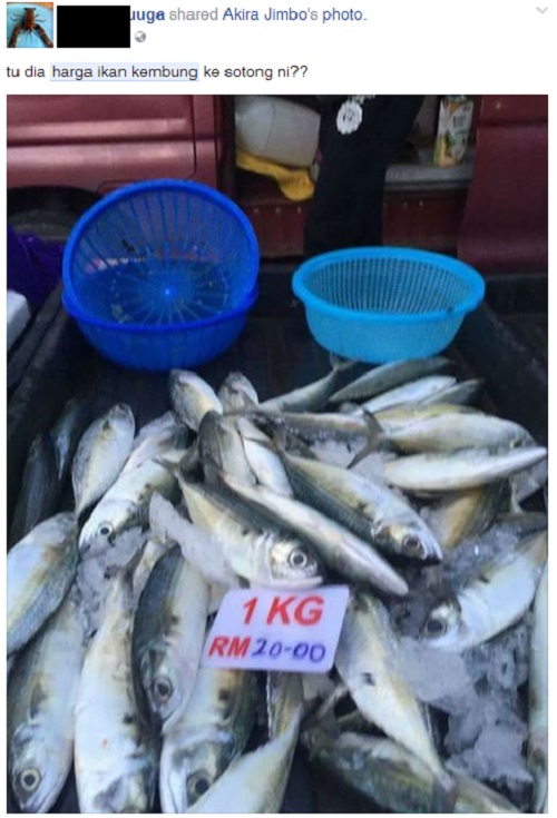Image result for Gambar Ikan kembung RM20