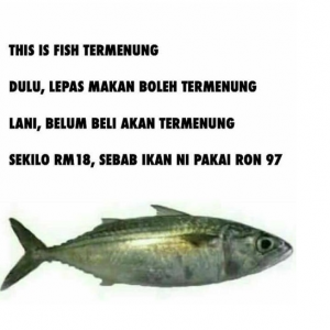Pengguna Meroyan, Harga Ikan Kembung Naik Cecah RM20 Sekilogram