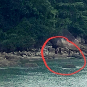 Mayat Ibu & Anak Diikat Bersama Ditemui Terdampar Di Pantai Teluk Bahang