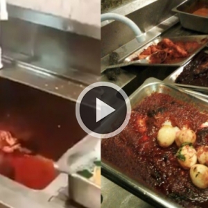 Tak Nak Membazir Katanya, Lauk Udang Basi Dimasak Semula Untuk Dijual Di Restoran